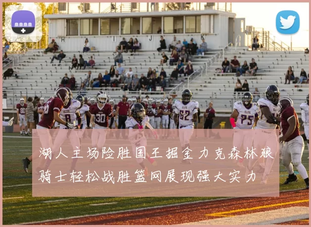 湖人主场险胜国王掘金力克森林狼骑士轻松战胜篮网展现强大实力